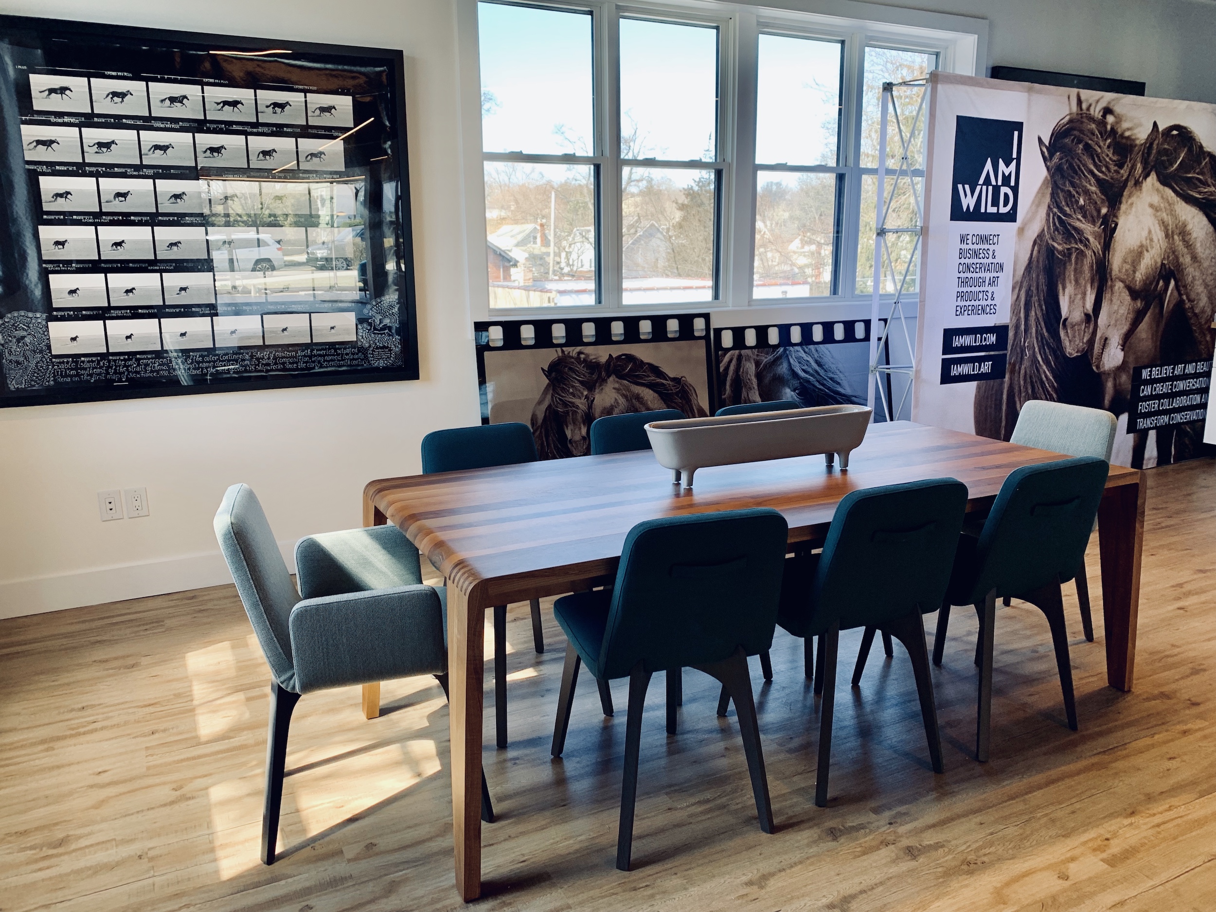 DutescoArt the original home of The Wild Horses of Sable Island