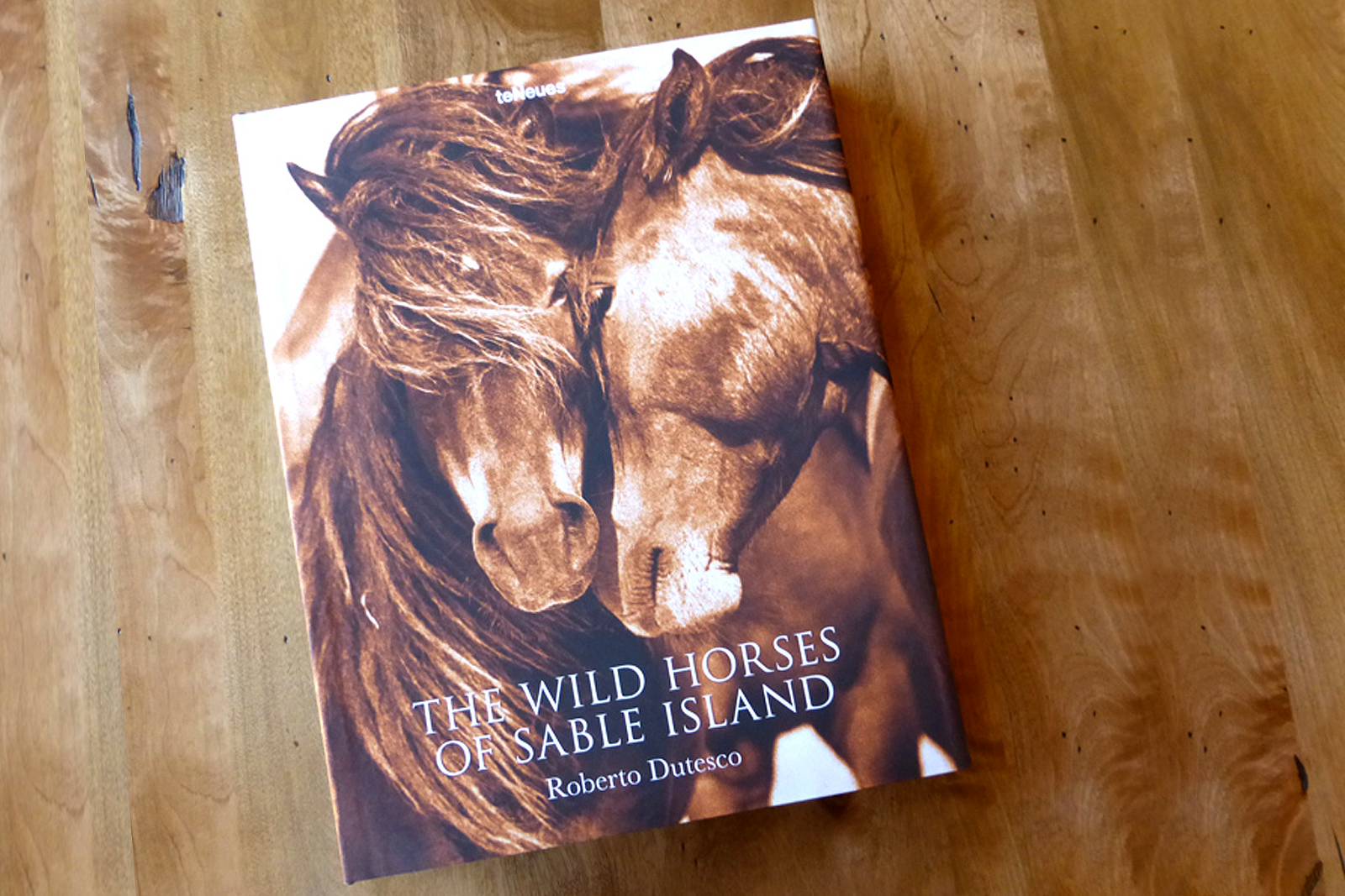 Wild Horses of Sable Island Book